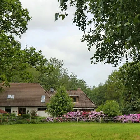 Apartment Birkenallee - Rose