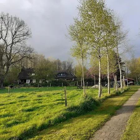 Apartment Birkenallee - Rose Deinste